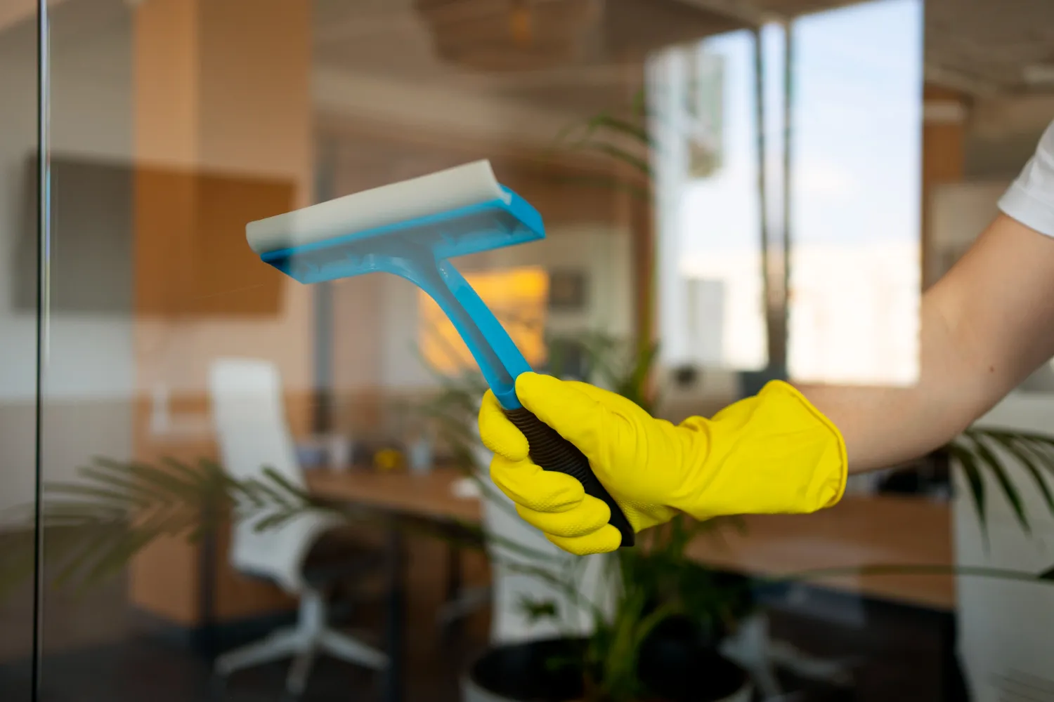 Beneficios de la limpieza integral profesional
